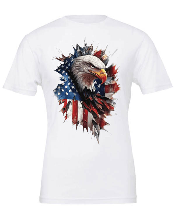 Patriotic Eagle